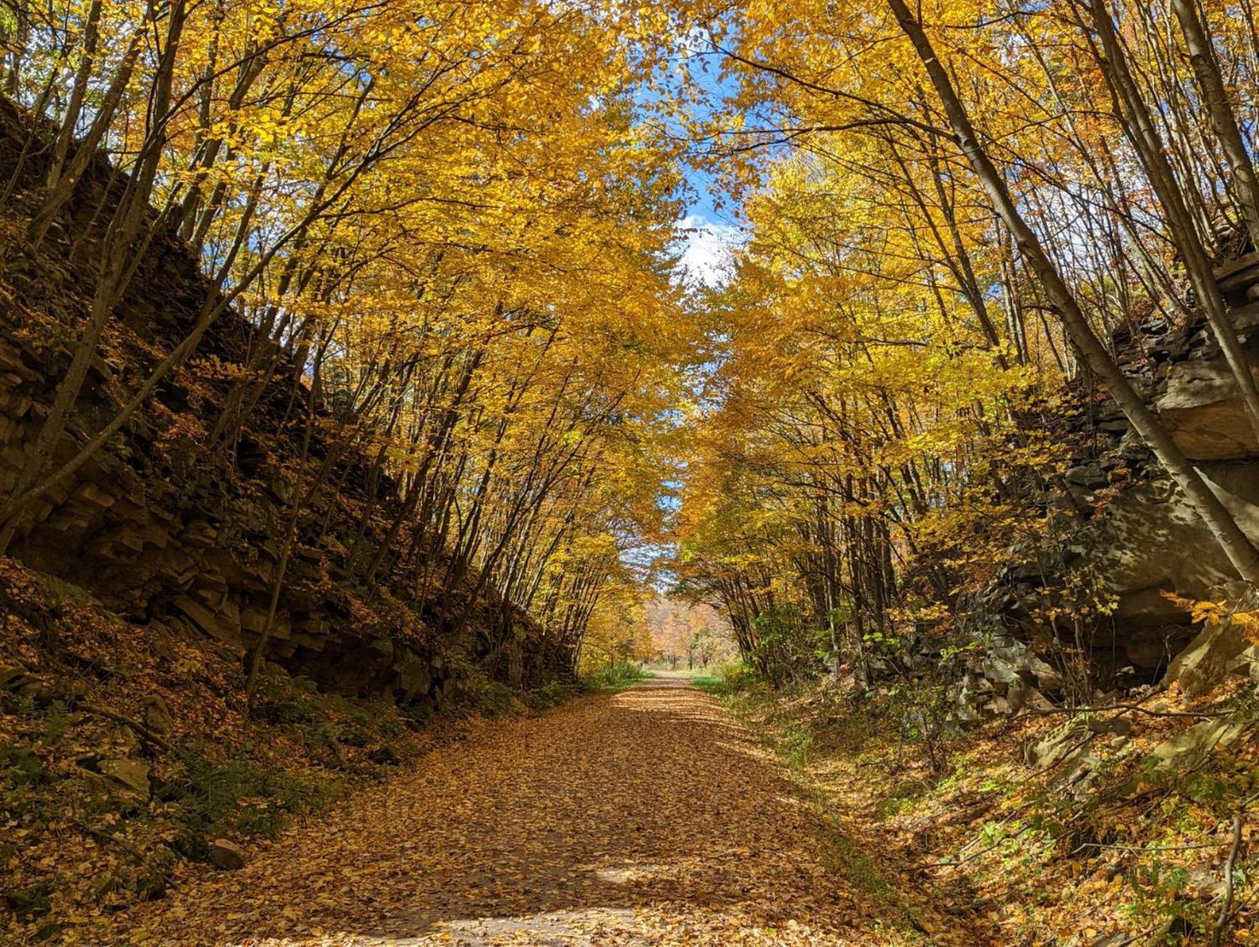 Stay In Ohiopyle Near Gap Trail, Restaurants, & The Fallls Exterior photo